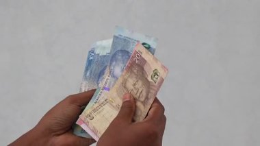 Güney Afrika Rand banknotlarını sayan bir kadın. ZAR 'ın 20, 50, 100 Rand' lik banknotlarını kapatın. Finans ve ekonomi konsepti HD video.