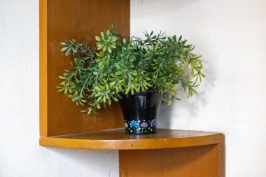 Yapay saksı bitkisi olan ahşap bir köşedeki rafa yakın çekim. Ev dekorasyonu için duvara monte edilmiş bir depo..