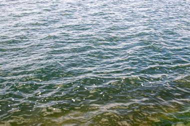 So Francisco Nehri 'nin Suları, Kuzeydoğu Brezilya. 