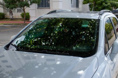 SUV model bir arabanın ön camı.