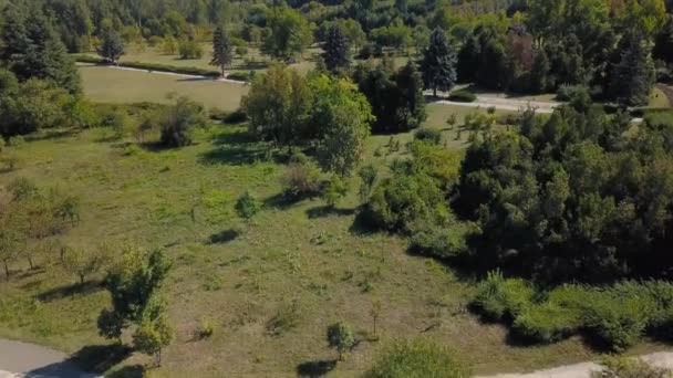 Büyüleyici Insansız Hava Aracı Videosunda Yeşil Bir Parkın Gelişmekte Olan — Stok video