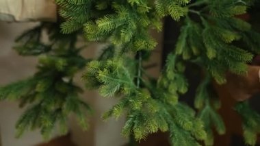 Yeşil Yapay Ağaç Yapılandırmanın Neşeli Süreci.