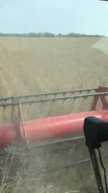 Traktörün tarlasında bir hasat makinesi. 