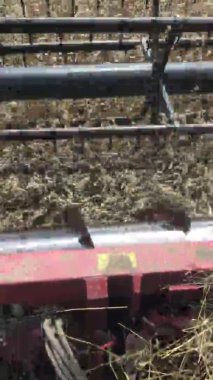 Buğday tarlasında büyük bir ahşap traktör..