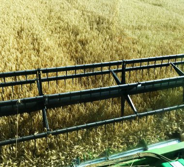 Biçerdöver buğday alanında çalışan birleştirme