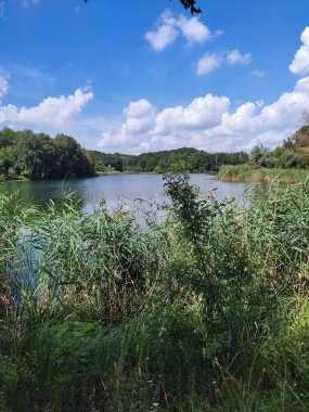 Parktaki manzara çok güzel.