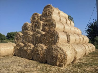 saman tarlasında saman balyaları