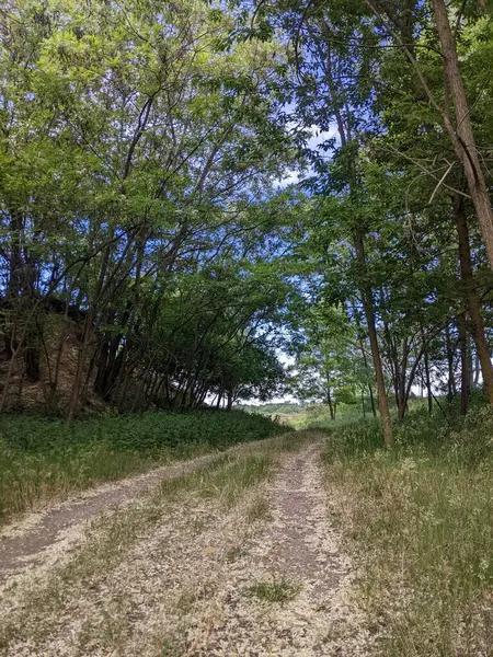 Doğanın güzel manzarası