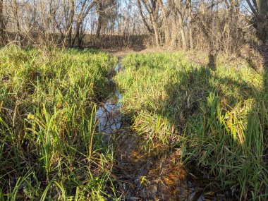 Doğanın güzel manzarası