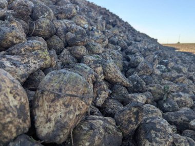 Beyaz arkaplanda siyah taşlar yığını