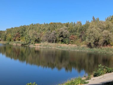 Göl. Sıcak yaz mevsiminde gölün sularında sakinlik hüküm sürer. Dalga yok, rüzgar yok. Sahilden ufka uzanan manzara.