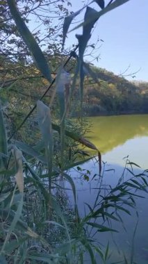 Nehir ve gölü olan güzel bir manzara.