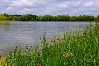 Vahşi doğanın manzaraları. Çayırların, tarlaların, suyun güzelliğinin unutulmaz yaz izlenimleri. Sudan gelen hafif bir serinlik. Gökyüzü boyunca ilginç, değişik şekilli bulutların yüzdüğü ufka bir bakış.