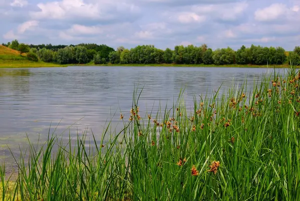 Vahşi doğanın manzaraları. Çayırların, tarlaların, suyun güzelliğinin unutulmaz yaz izlenimleri. Sudan gelen hafif bir serinlik. Gökyüzü boyunca ilginç, değişik şekilli bulutların yüzdüğü ufka bir bakış.