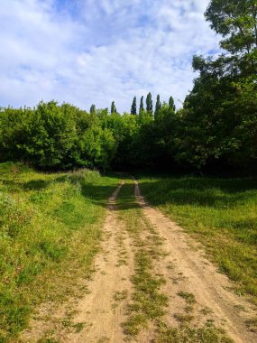 Saha yolları. Yazın, tarlalar boyunca uzanan yollar, çalıların ve ağaçların parlak yeşil bir gölgesi haline gelir. Ormanı ve bozkırları ayıran duvarda.