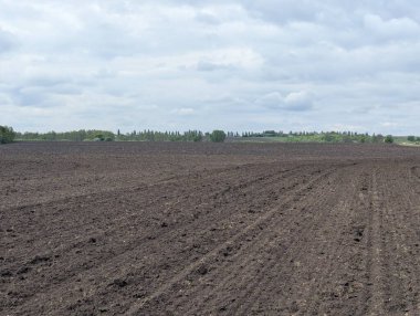 Bugün tarımın üzerinde bulutlu bir gökyüzü vardı. Güneş, çeşitli şekillerde ve rüzgarda oluşan devasa bulutlar yüzünden hiç görünmedi.