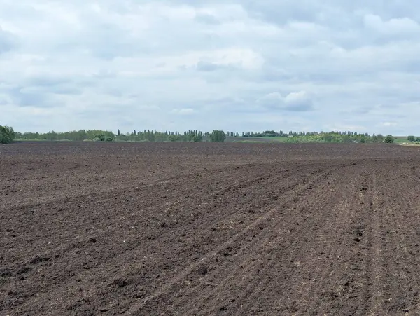 Bugün tarımın üzerinde bulutlu bir gökyüzü vardı. Güneş, çeşitli şekillerde ve rüzgarda oluşan devasa bulutlar yüzünden hiç görünmedi.