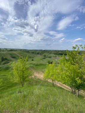 Bahar manzarası, şehrin dışındaki doğanın bir resmi. Akşam bulutlu, yağmurlu bir gökyüzünün altında ufka kadar uzanan geniş bir çayırın kamera görüntüsü. Çimenler, ağaçlar....