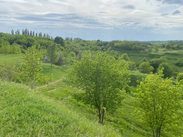 Bahar manzarası, şehrin dışındaki doğanın bir resmi. Akşam bulutlu, yağmurlu bir gökyüzünün altında ufka kadar uzanan geniş bir çayırın kamera görüntüsü. Çimenler, ağaçlar....