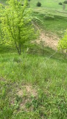 Doğanın manzaraları. Avrupa 'nın bozkırlarında kısa bir yolculuk. Ufuktaki toprağın gökyüzünün bulutlarla kaplı olduğu bir yer. Akşamdan akşama