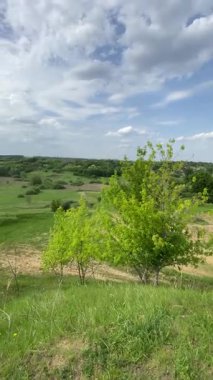 Doğanın manzaraları. Avrupa 'nın bozkırlarında kısa bir yolculuk. Ufuktaki toprağın gökyüzünün bulutlarla kaplı olduğu bir yer. Akşamdan akşama