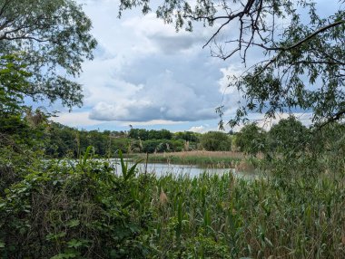 Sahilden göle kadar manzara. Parlak bir günde, gökyüzü bulutlarla doluyken, banliyö gölüne bakarız. Kıyı boyunca sazlıklar, ağaçlar ve çalılarla kaplıdır.