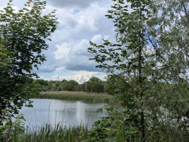Sahilden göle kadar manzara. Parlak bir günde, gökyüzü bulutlarla doluyken, banliyö gölüne bakarız. Kıyı boyunca sazlıklar, ağaçlar ve çalılarla kaplıdır.