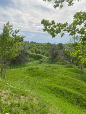 Doğanın güzel manzaraları. Orman bozkırının Avrupa 'daki kısmı. Dik ya da dik yamaçlar yoğun biçimde çimen ve ağaçlarla kaplıdır. Üzerlerinde gökyüzü bulutların muhteşem resimlerini yaratıyor.