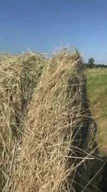 Saman balyalarının oluşturulması, ekipmanların koordineli çalışması ve samanların yüksek kalitede ve iyi depolanmış olma koşullarıyla uyumlu olmasıdır.