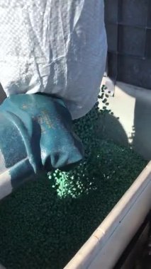 Soya fasulyeleri bir torbadan bir tohumcuğa dökülüyor. Bu video yeni bir tarım döngüsünün başlangıcını, çiftçilerin çalışmalarını ve zengin bir hasat umudunu simgeliyor..