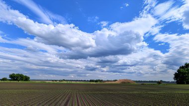 Ekinlerin tarlalarda filizlendiği geniş bir arazi. Çeşitli şekillerde bulutlarla kaplı büyük bir gökyüzünün altında ufka kadar uzanıyorlar. Doğa ve iş gücü birleşir.