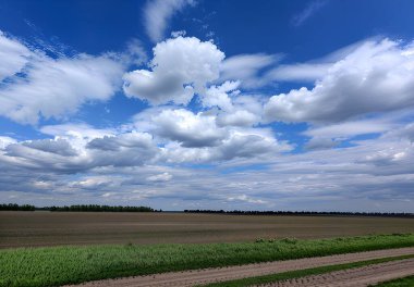 Uçsuz bucaksız tarlaların üzerine uzanan gümüş bulutlarla dolu açık mavi bir gökyüzü. Yeşil omuzları olan toprak bir yol, bir orman şeridinin görülebildiği mesafeye kadar uzanıyor.
