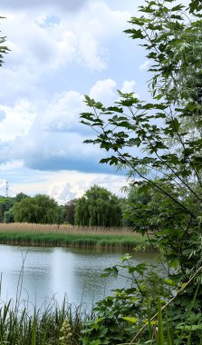 Uzun otlar ve ağaçlarla çevrili sessiz bir göl manzarası. Arka planda resim gibi bulutlar var. Bu manzara doğa, dinlenme, ekoloji ve turizm ile ilgili projeler için idealdir.