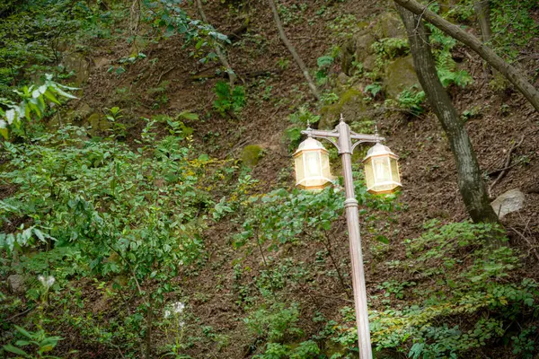A lighting lamp post with glowing lamp in the middle of the forest with green trees around