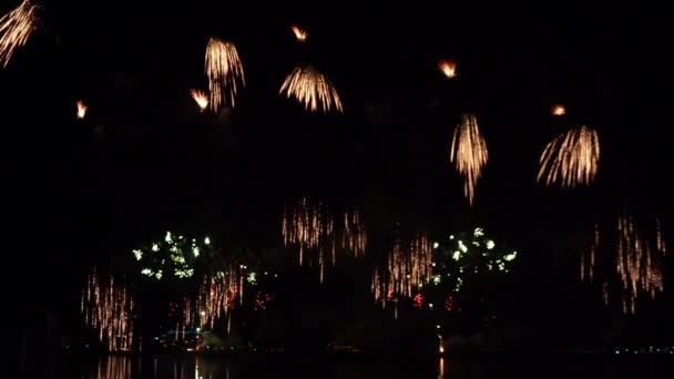 Display Beautiful Fireworks Night River — Stock Video