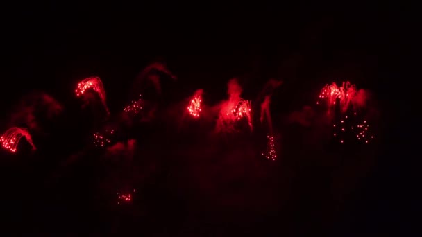 Ekspozycja Pięknych Fajerwerków Nocy Pobliżu Rzeki — Wideo stockowe