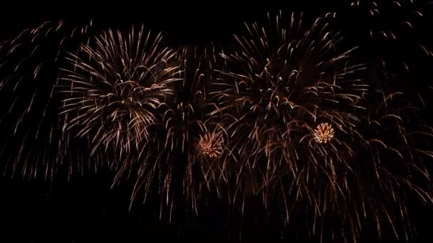 Egy Gyönyörű Tűzijáték Éjjel Folyó Mellett — Stock videók