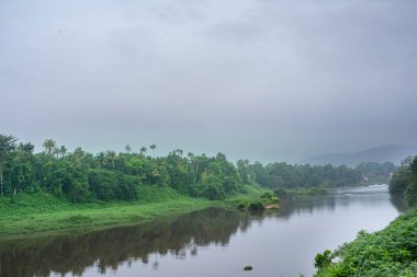Yeşil ağaçlar ve bitkilerle dolu güzel bir nehrin sabah manzarası