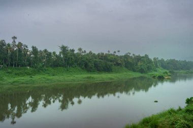 Hindistan 'da yeşil ağaçları ve dağları olan sakin bir nehrin manzarası.