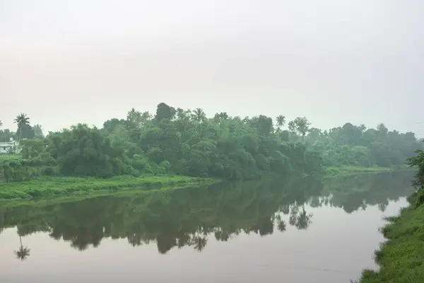 Hindistan 'da yeşil ağaçları ve dağları olan sakin bir nehrin manzarası.