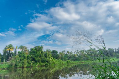 Nehirli güzel bir manzara, Kerala, Hindistan 'da bir köyde gökyüzü.
