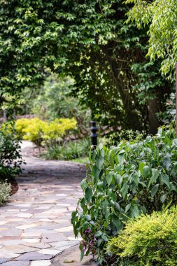 Botanik bahçesi manzarası Bitkiler ve ağaçlarla Singapur