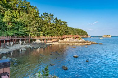 Güney Kore 'de deniz, su, ağaç, köprü ve mavi gökyüzü ile beatuful manzara