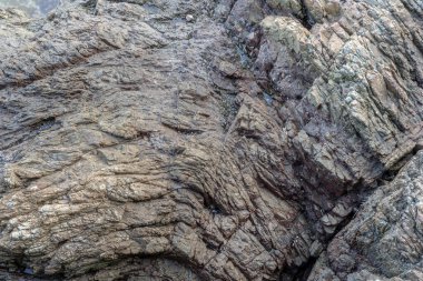 Güney Kore 'de deniz, su ve kayalarla güzel bir manzara.