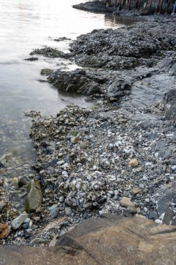 Güney Kore 'de deniz, su ve kayalarla güzel bir manzara.