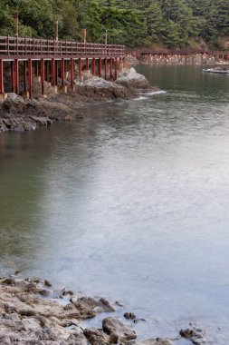 Güney Kore 'de deniz, su, ağaç, köprü ve mavi gökyüzü ile beatuful manzara