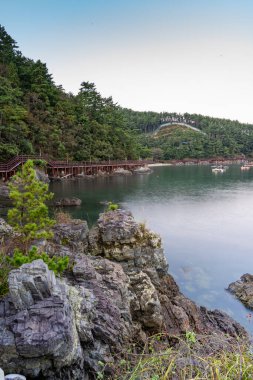 Güney Kore 'de deniz, su ve kayalarla güzel bir manzara.