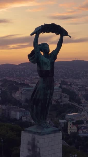 Veduta Aerea Statua Liberty Budapest Durante Tramonto Video Verticale — Video Stock