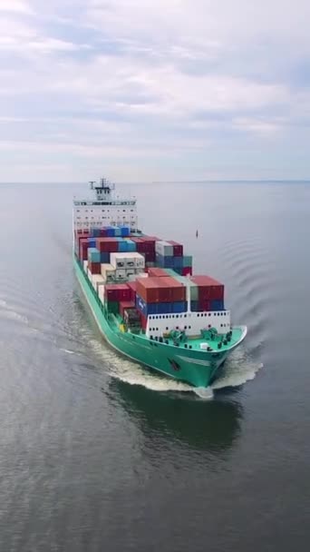 Letecký Pohled Kontejnerovou Loď Moři Svislé Video — Stock video
