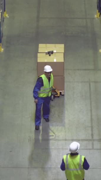 Trabajadores Almacenes Caminando Entre Bastidores Con Mercancía Vídeo Vertical — Vídeos de Stock